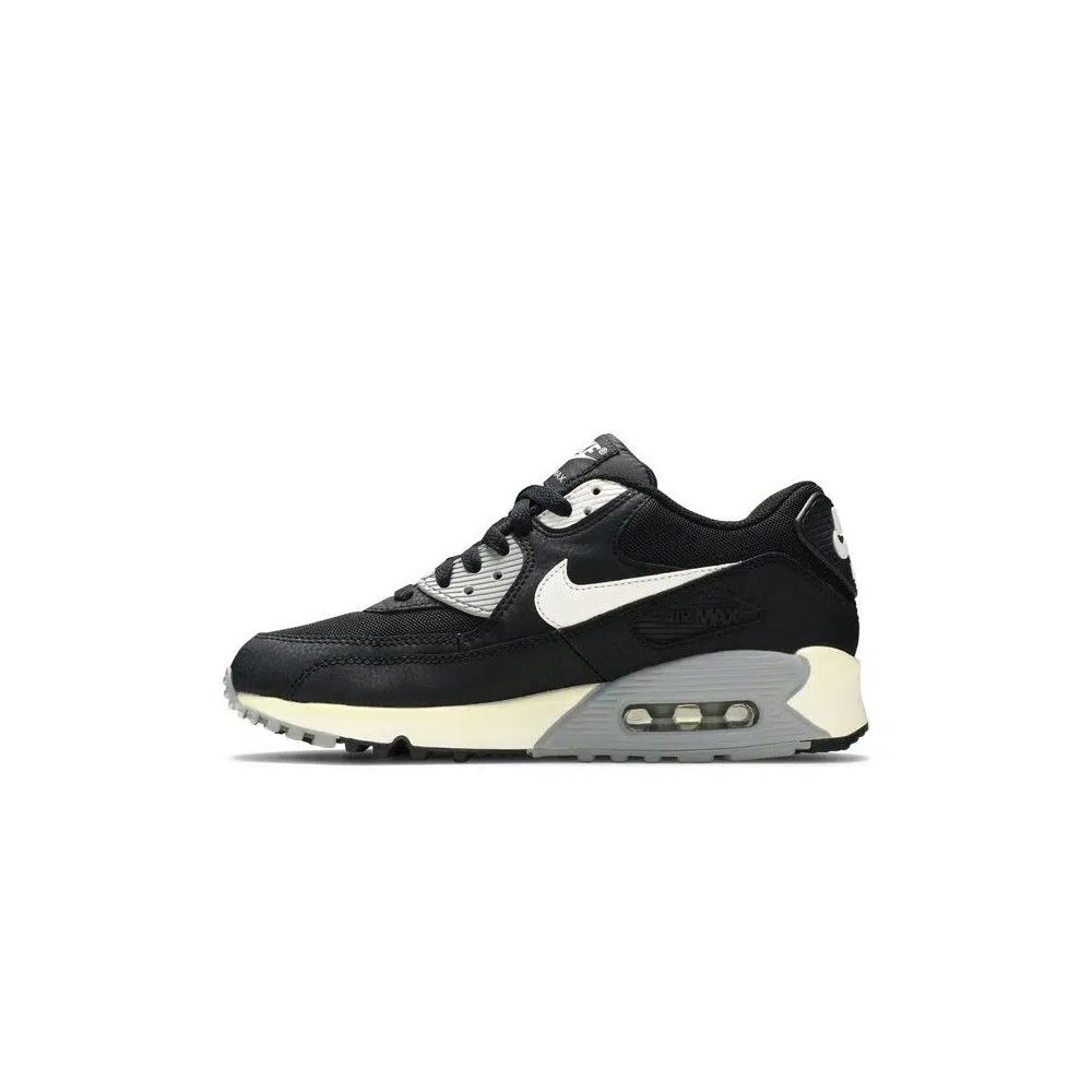 Кроссовки Nike Wmns Air Max 90 Essential 'Black Wolf Grey' 3