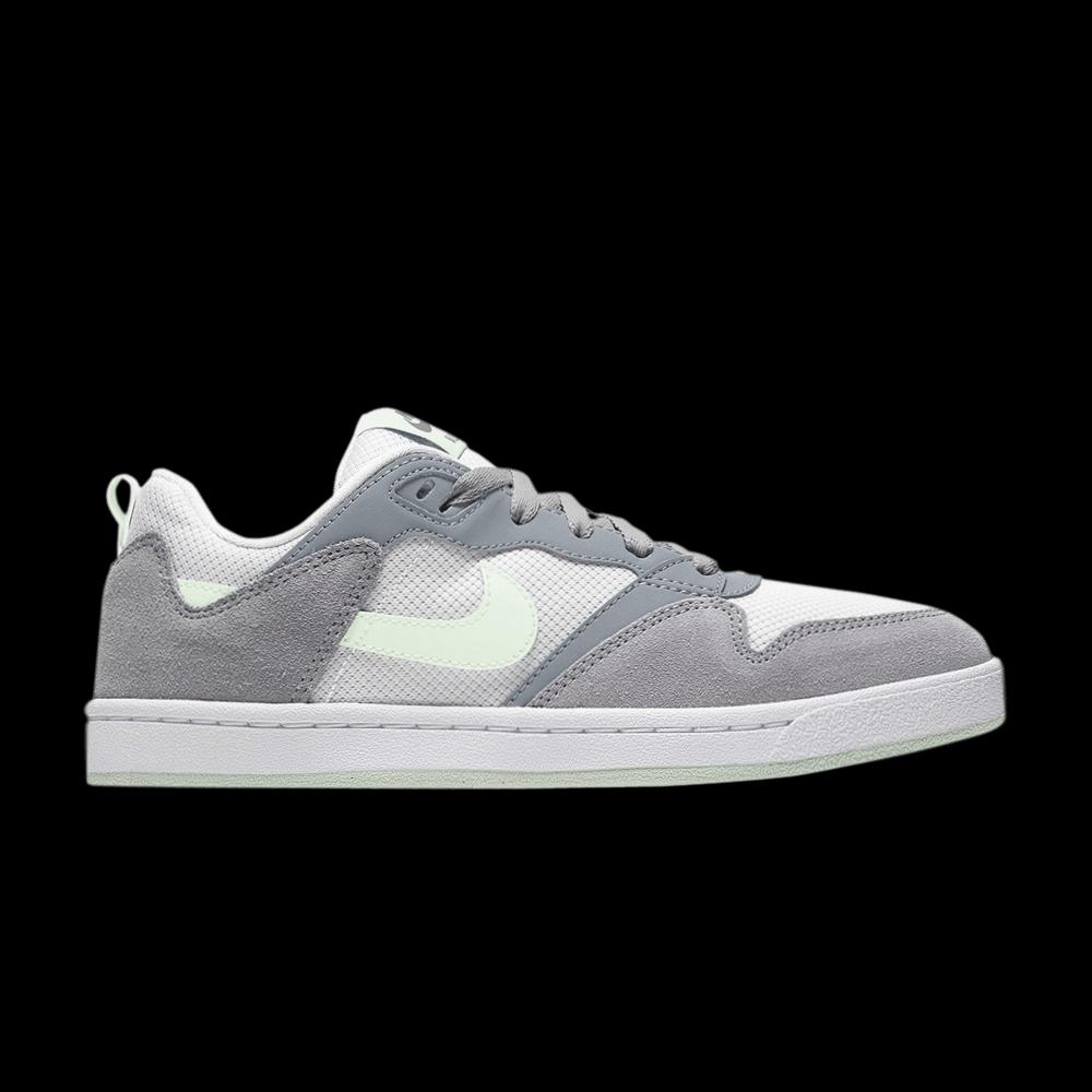 Кроссовки Nike Wmns Alleyoop SB 1