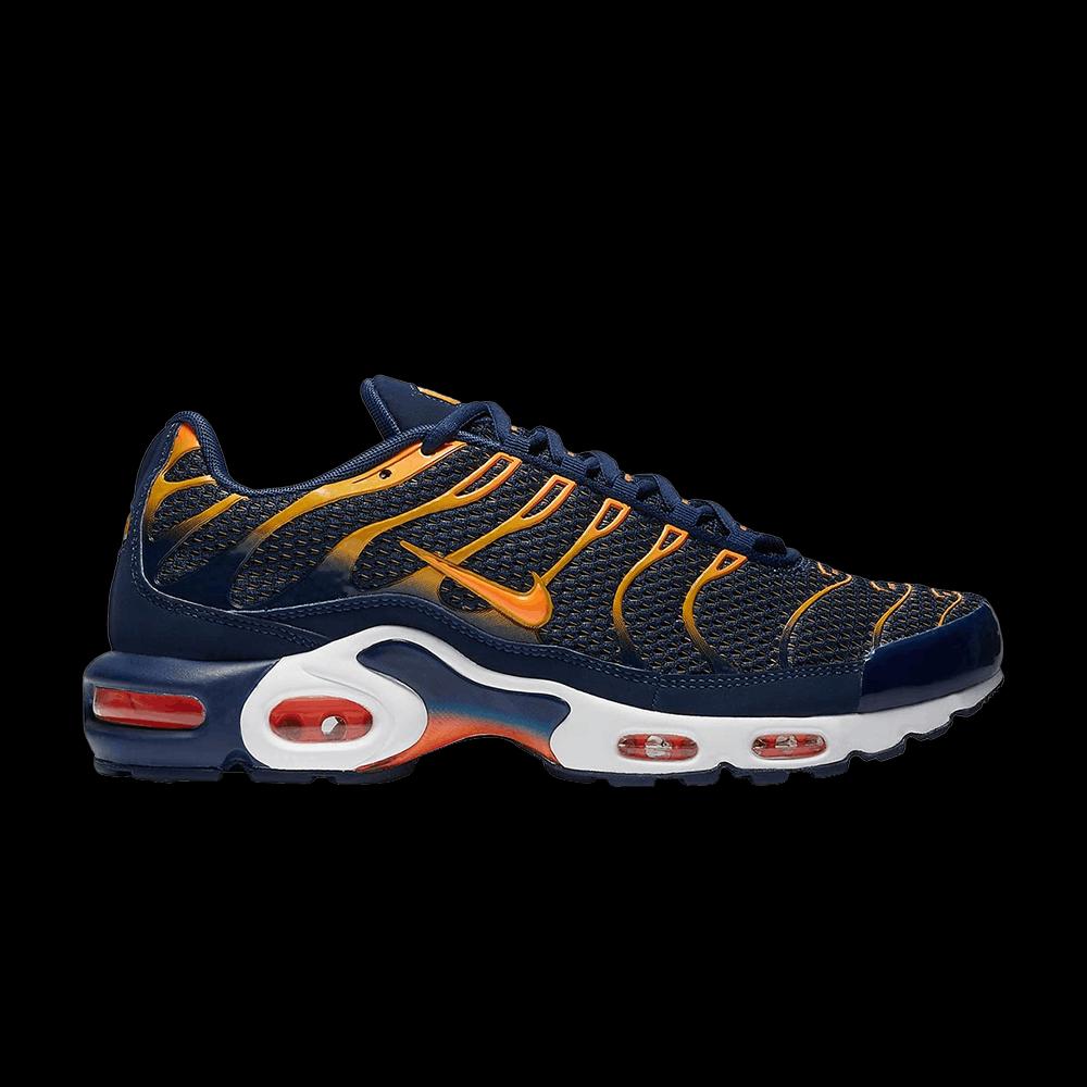 Кроссовки Nike Air Max Plus «Blue Void» 1
