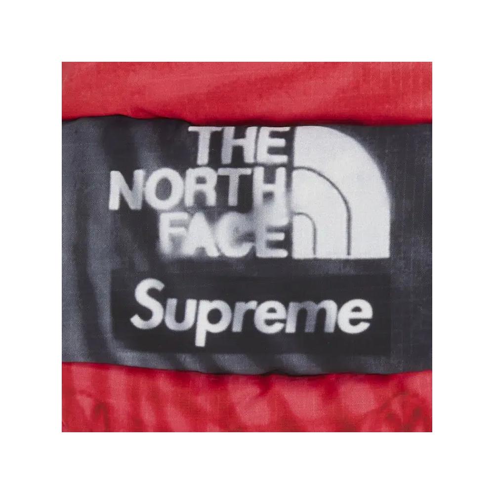 Перчатки Supreme x The North Face Printed Montana Mitt 'Red' 3