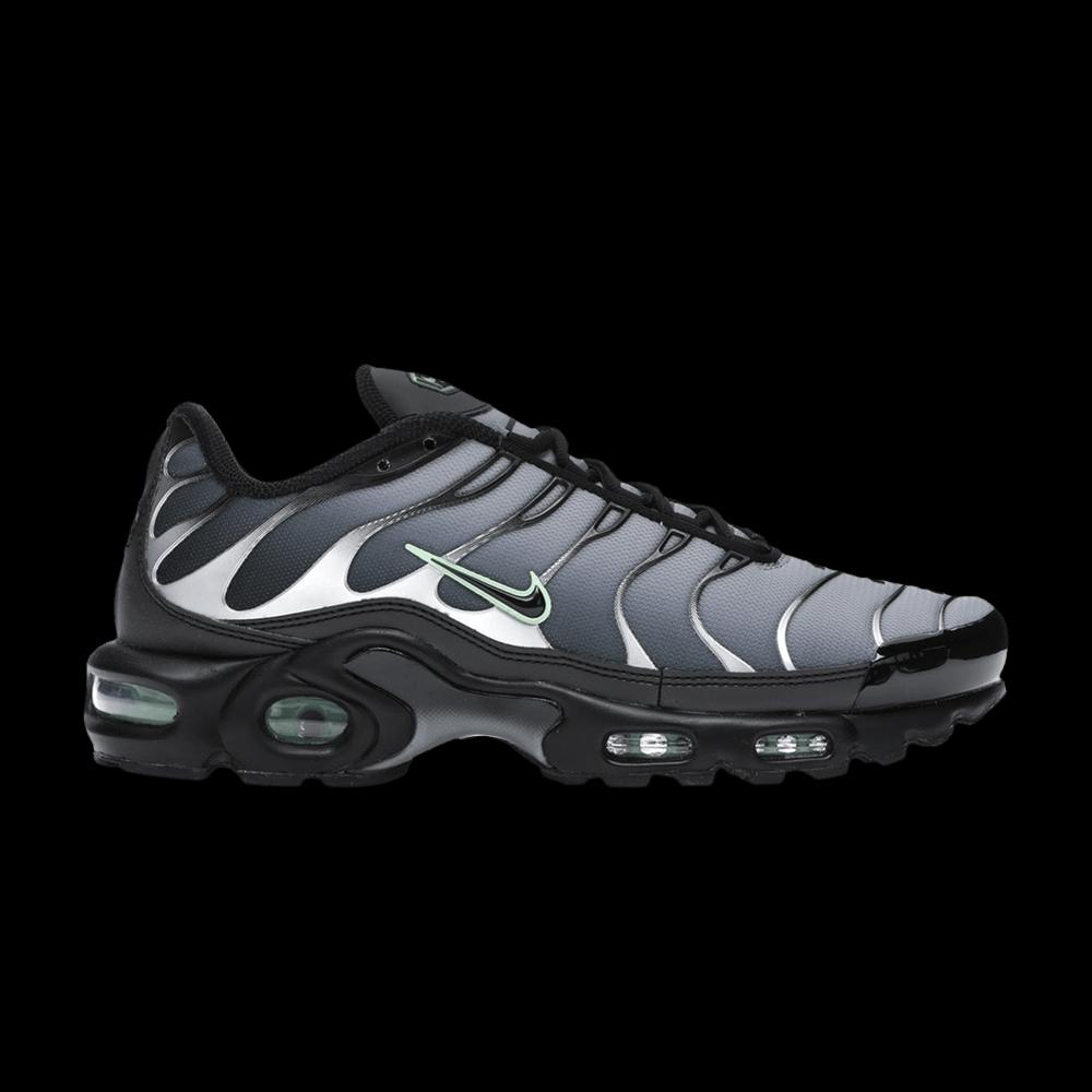 Кроссовки Nike Air Max Plus 'Particle Grey Vapour Green' 1