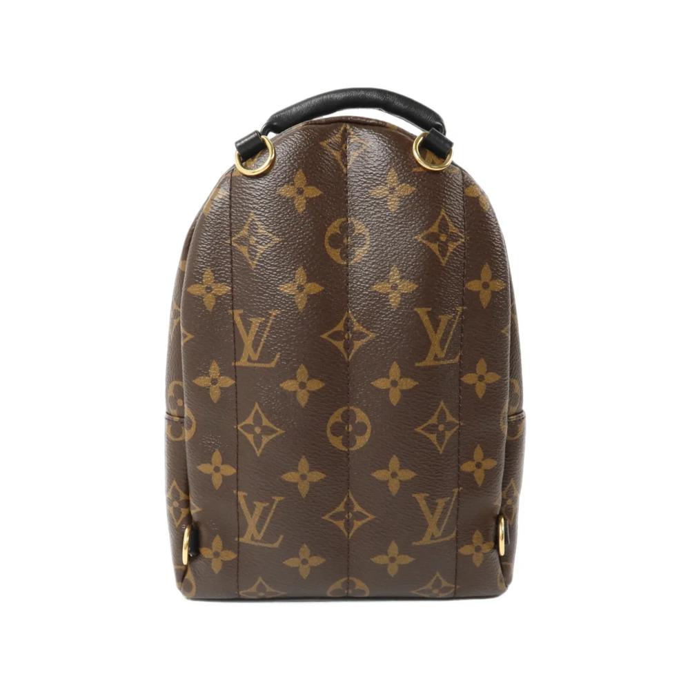 Mini Palm Springs Monogram backpack 2