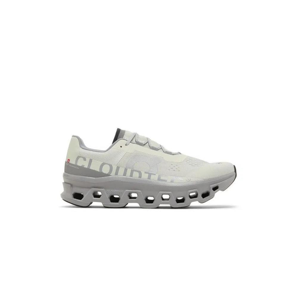 Кроссовки Cloudmonster 'Ice Alloy' 1