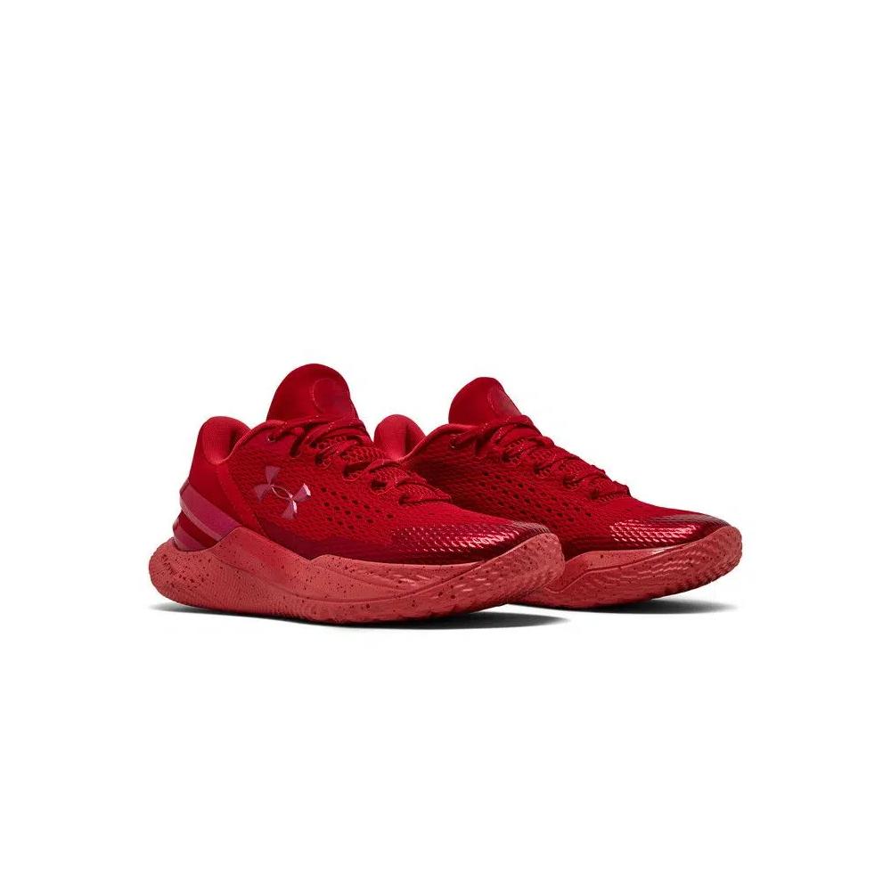 Кроссовки Curry Brand Curry 2 Low FloTro 'Davidson' 8