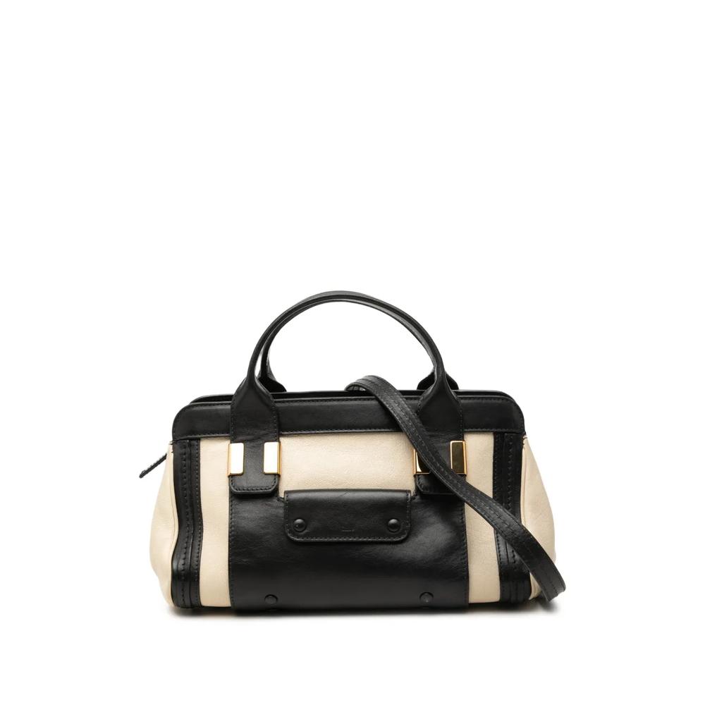 2015 Small Bicolor Leather Alice satchel 1