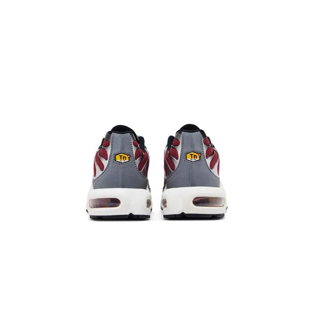 Кроссовки Nike Air Max Plus 'Team Red Cool Grey' 6