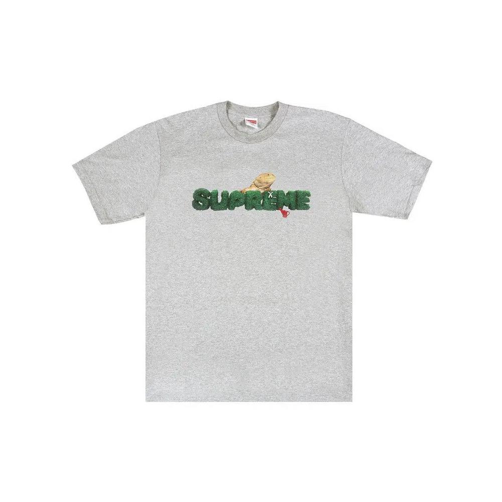 Футболки Supreme Lizard Tee 'Heather Grey' 1