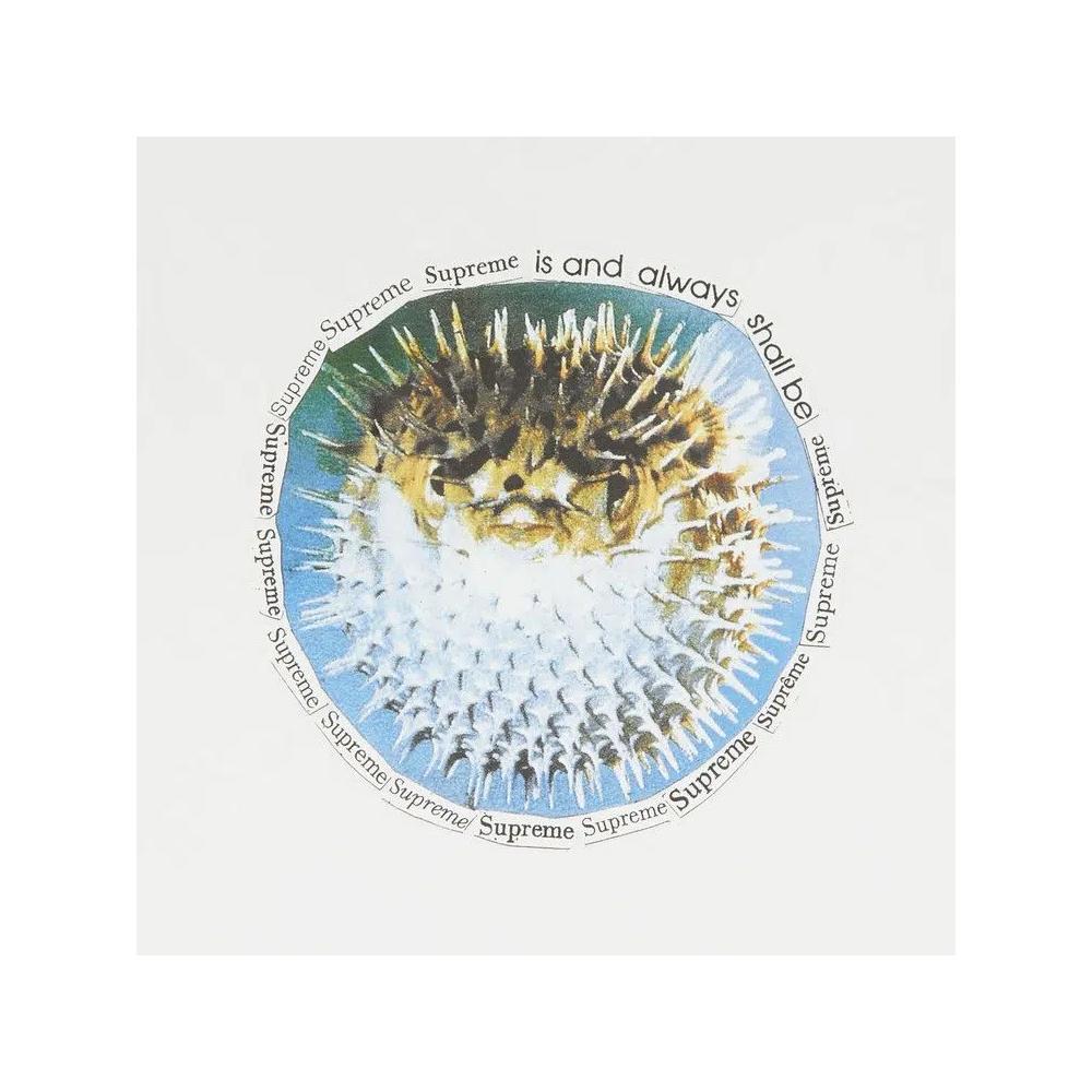 Футболки Supreme Blowfish Tee 'White' 3