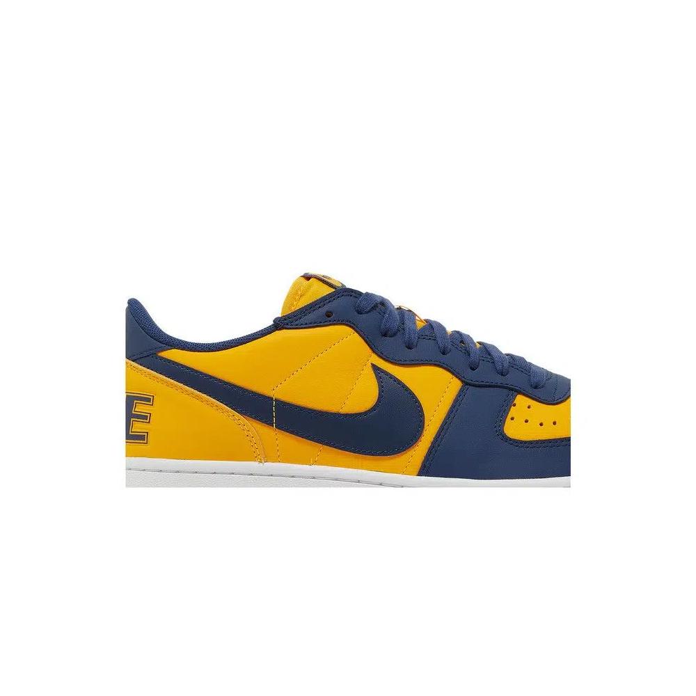 Кроссовки Nike Terminator Low 'Michigan' 2