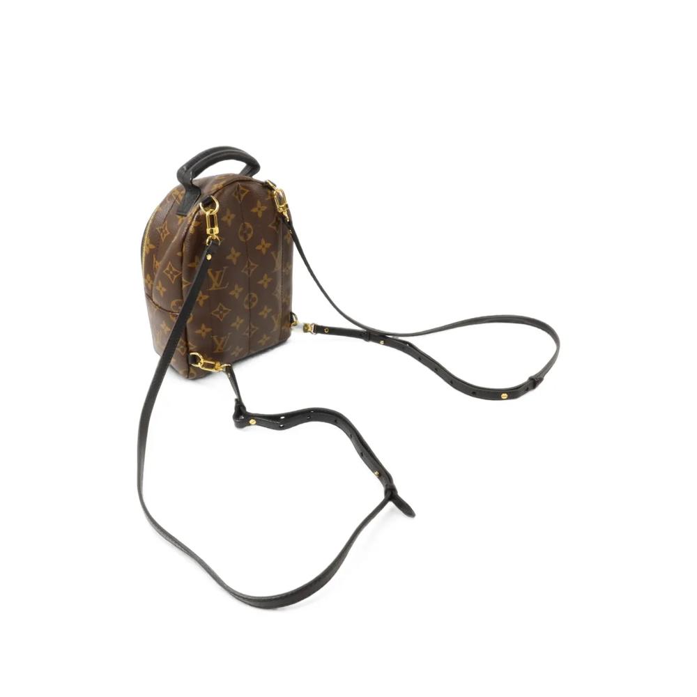 Mini Palm Springs Monogram backpack 5