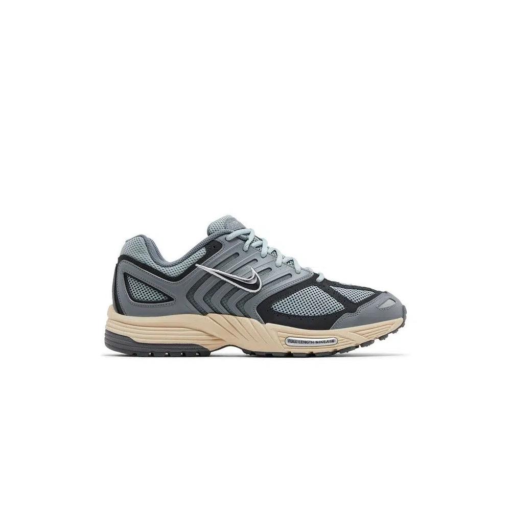 Кроссовки Nike Air Pegasus 2K5 'Light Pumice' 1