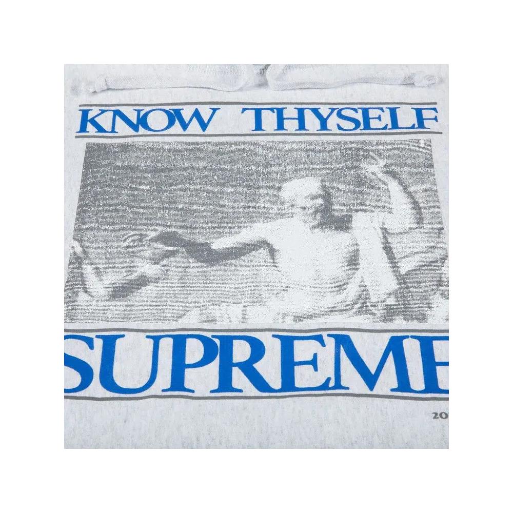 Толстовки Supreme Know Thyself Hooded Sweatshirt 'Ash Grey' 3