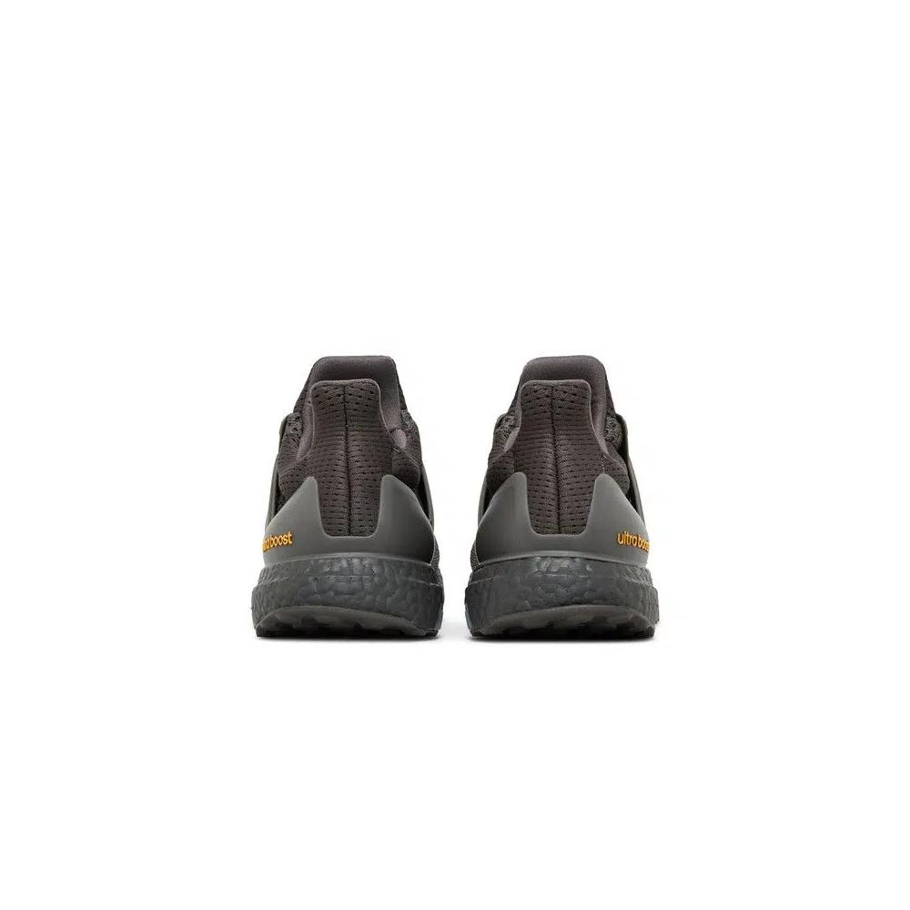 Кроссовки adidas UltraBoost 1.0 'Charcoal Semi Spark' 6