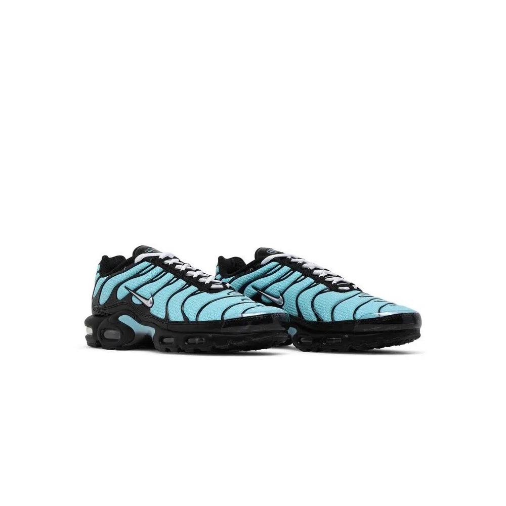 Кроссовки Nike Air Max Plus 'Aqua Silver' 8