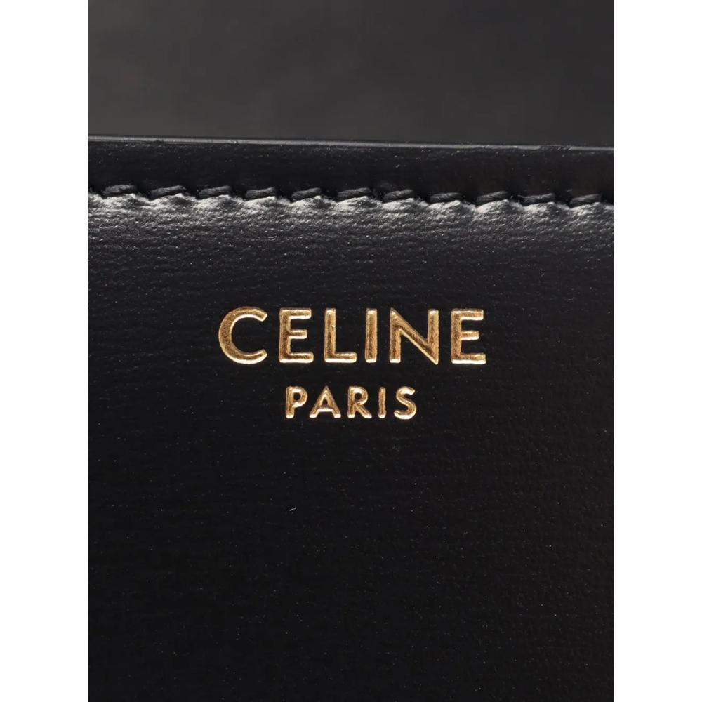 Сумка через плечо Teen Shiny Calfskin Triomphe (2010-2026 годы) 2