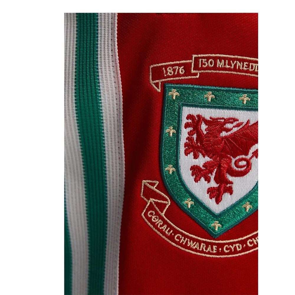 Спортивные брюки Wales 150 Years Anniversary 2