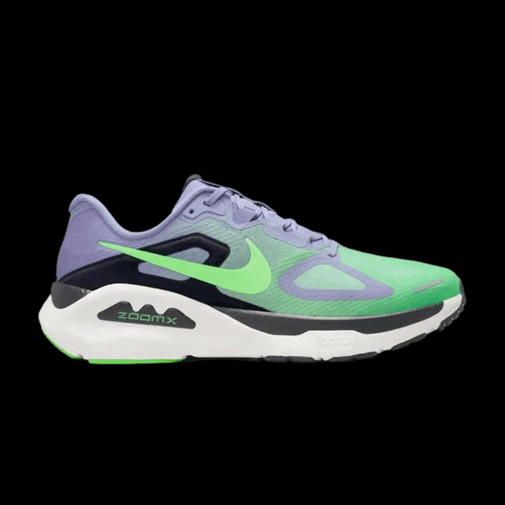 Обувь Nike Air Zoom Structure Plus «Iron Purple» 1