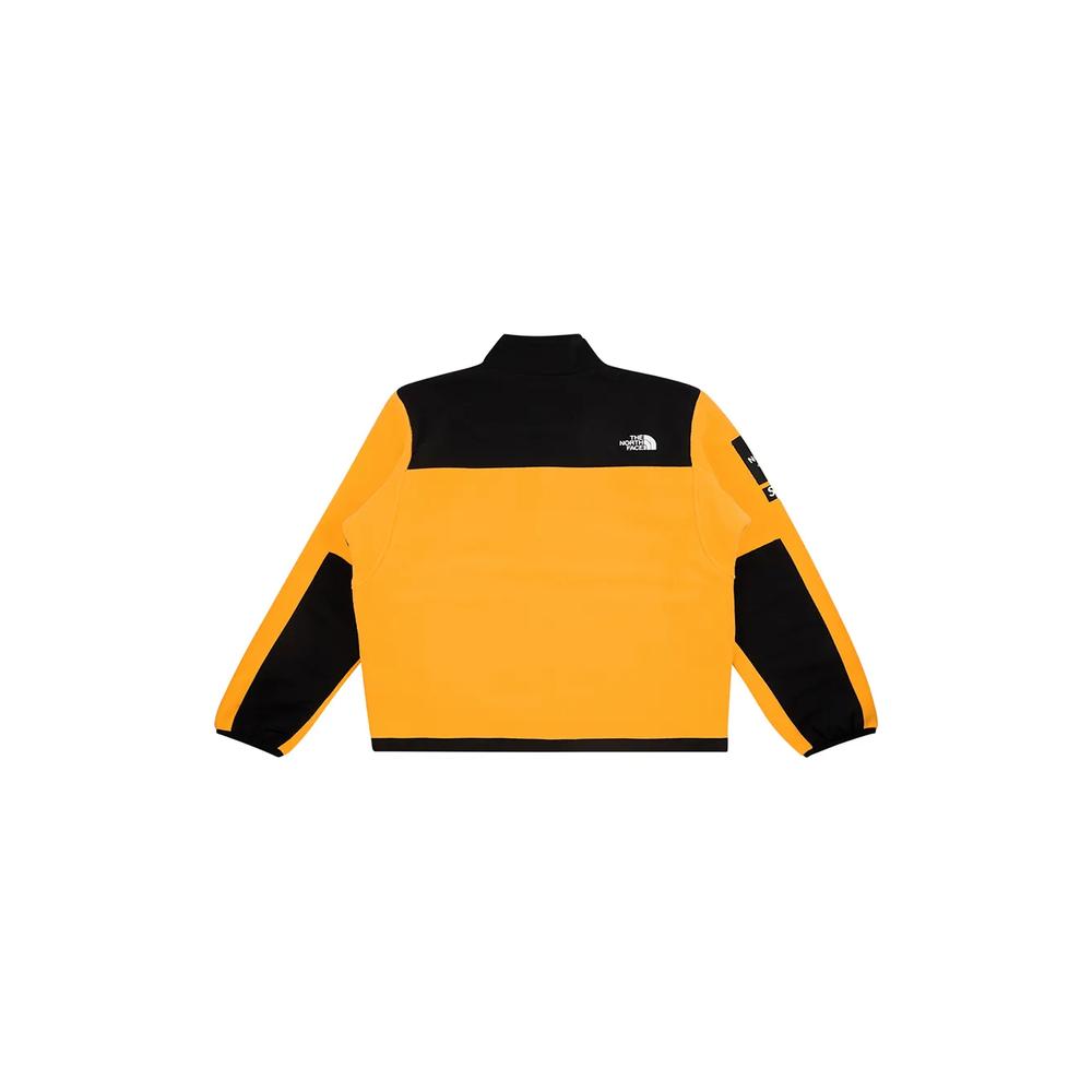Куртка с логотипом Arc из коллаборации с The North Face 2