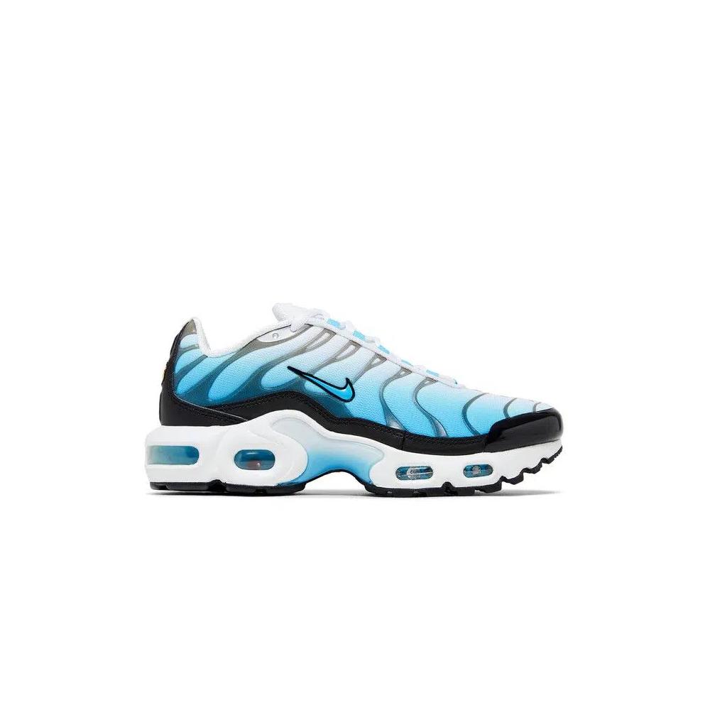 Кроссовки Nike Air Max Plus GS 'Ice' 1