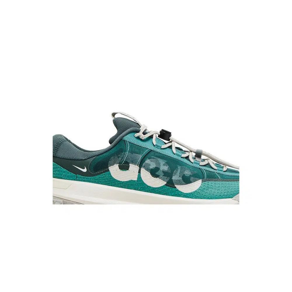 Кроссовки Nike ACG Mountain Fly Low 2 'Bicoastal' 2