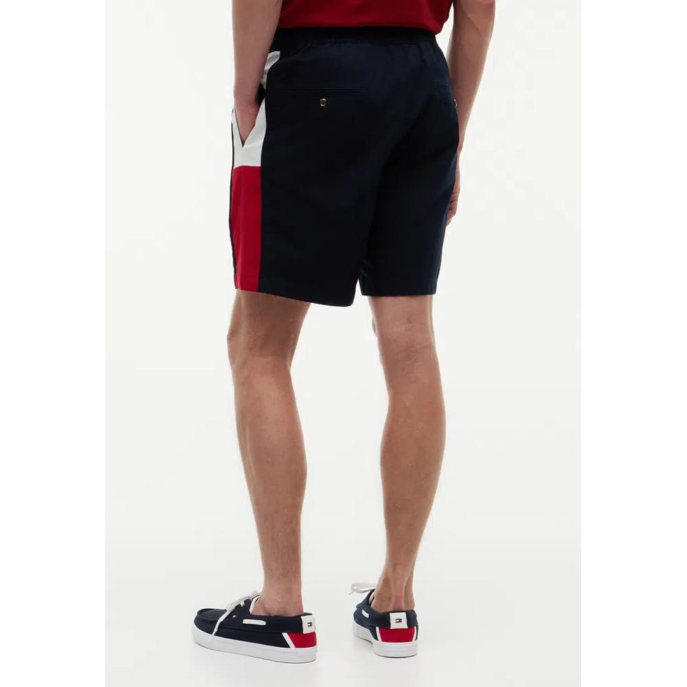 Шорты Regular Fit 8" Flag Colorblock - The Mainline 2