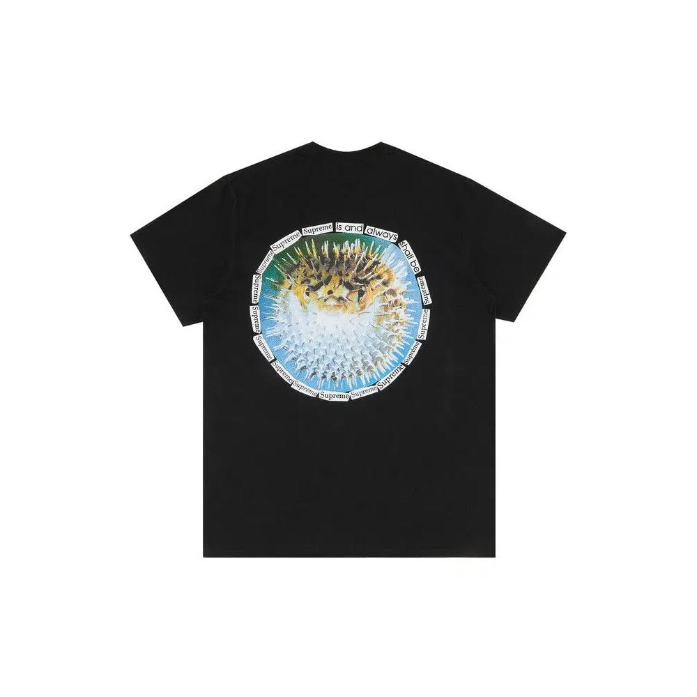 Футболки Supreme Blowfish Tee «Черный» 2