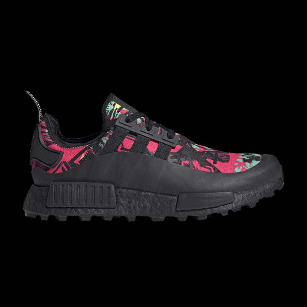 Кроссовки Adidas NMD_R1 Trail GTX 'Black Multi' 1