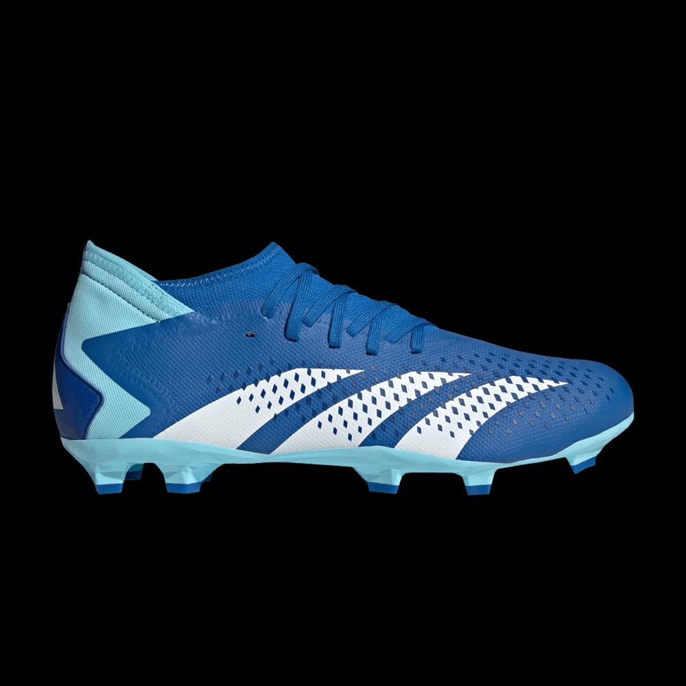 Бутсы Adidas Predator Accuracy.3 FG 'Marinerush Pack' 1
