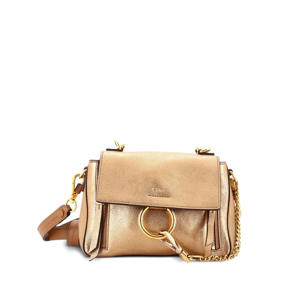 Мини-сумка на плечо Faye Day Bag Leather 1