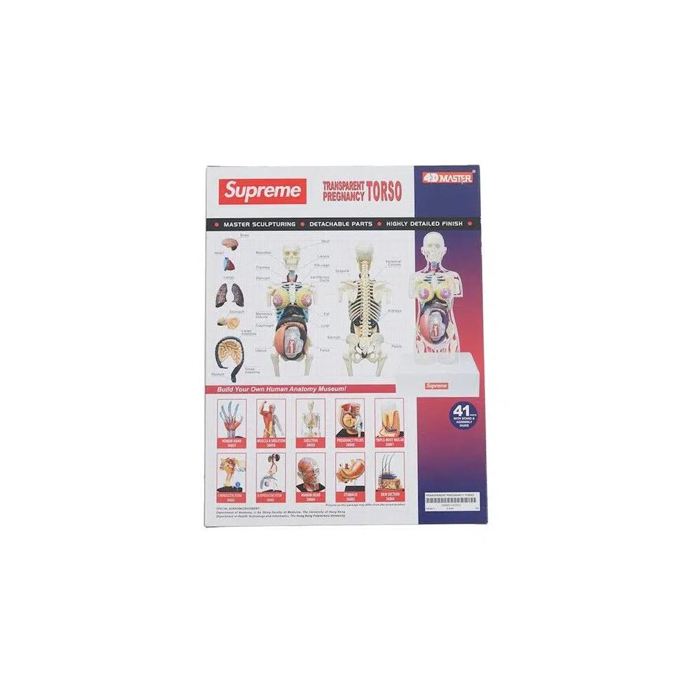 Фигурки Supreme Female Anatomy Model 'Clear' 2