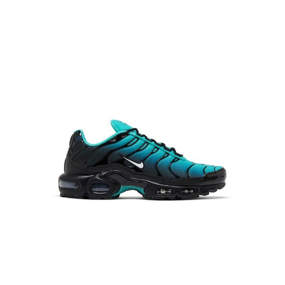 Кроссовки Nike Air Max Plus 'Светлое ретро' 1