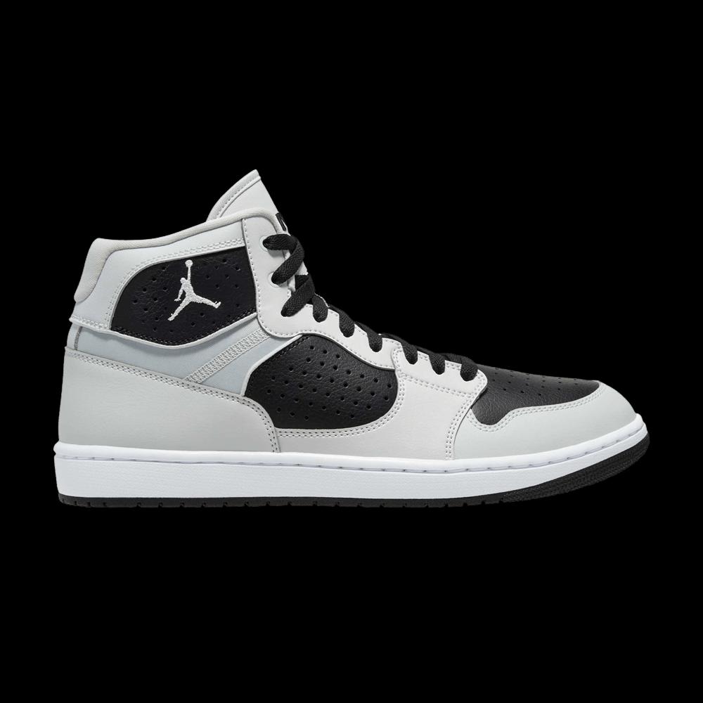 Повседневные кроссовки Air Jordan Access 'Photon Dust Black' 1