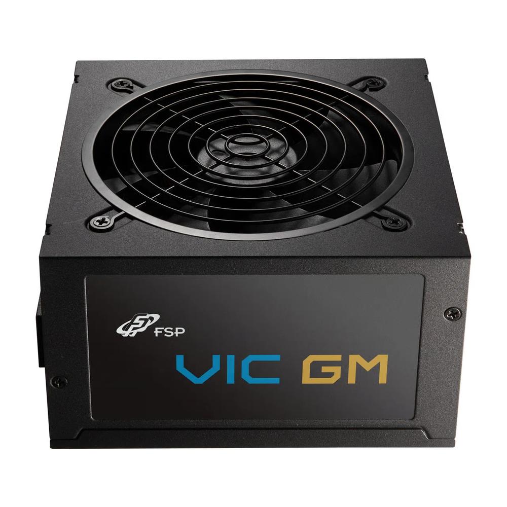 FSP VIC GM 650W 80Plus Gold блок питания 2