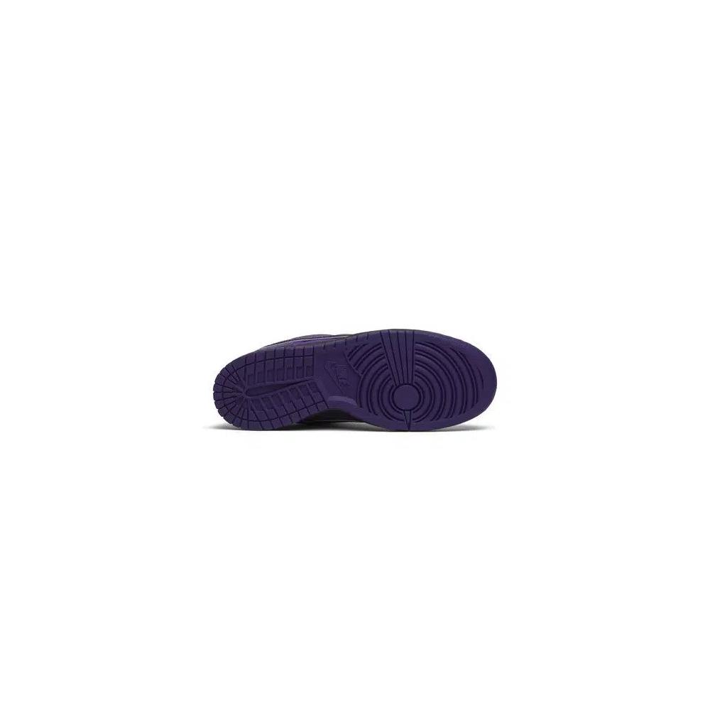 Кроссовки Concepts x Nike Dunk Low SB 'Purple Lobster' Special Box 4