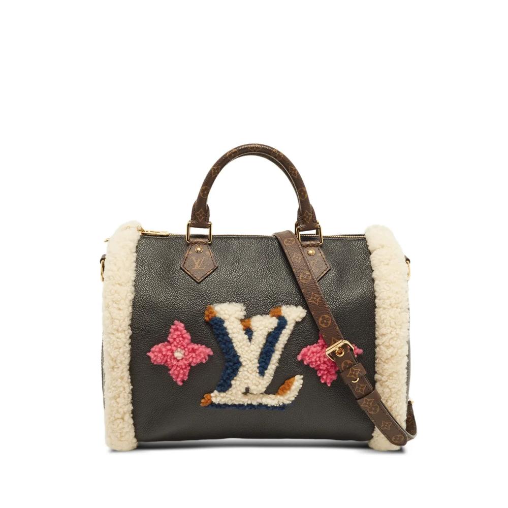 Сумка-тоут Speedy 30 Teddy Bandoulière (2020 год) 1