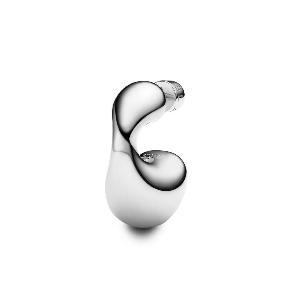 Dolphin earring 2