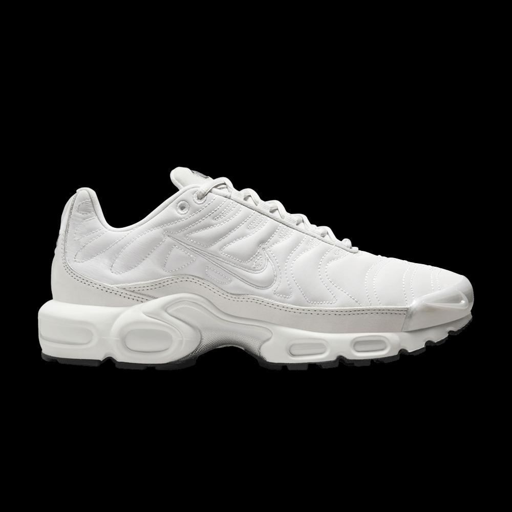 Кроссовки Nike Wmns Air Max Plus 'Platinum Tint' 1