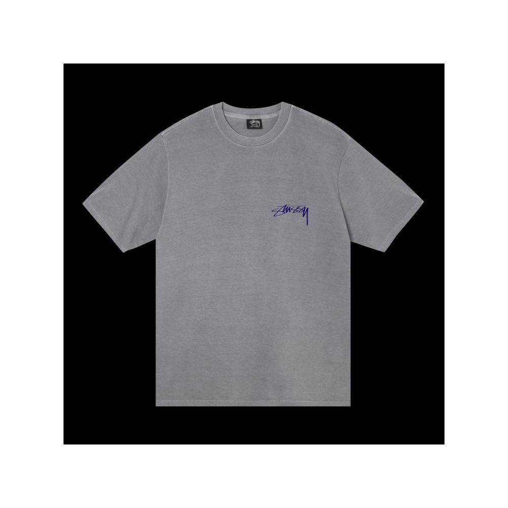 Футболки Stussy Arachnid Pigment Dyed Tee 'Grey' 1