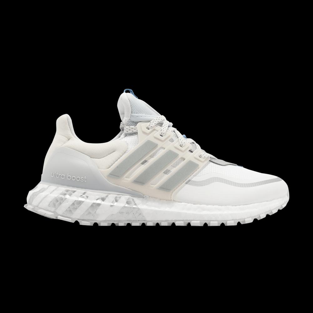 Кроссовки Adidas UltraBoost All Terrain 'White Silver Sky' 1