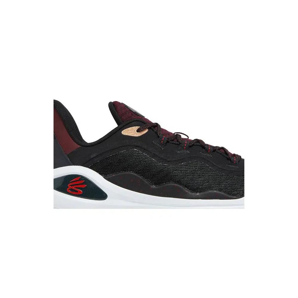 Кроссовки Curry Brand Curry Flow 11 'Domaine' 2