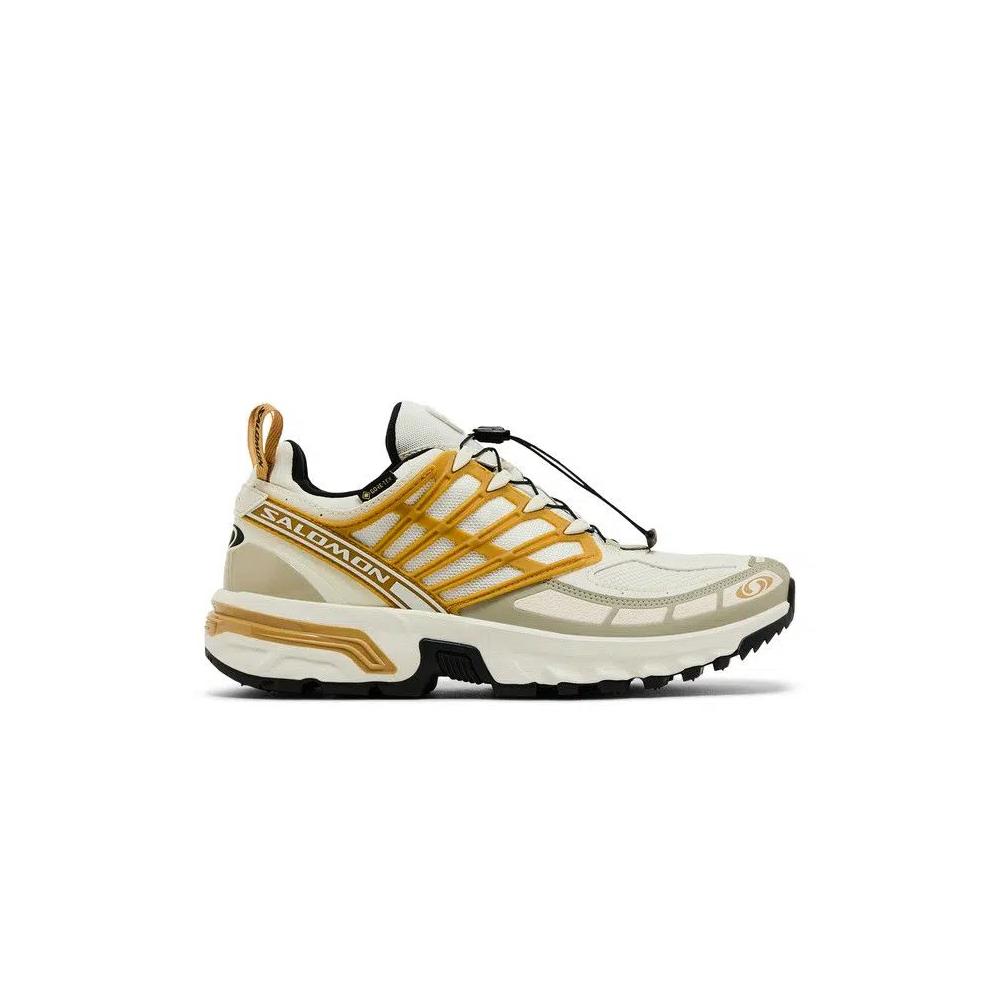 Кроссовки Salomon ACS Pro GORE-TEX 'Icicle Antelope' 1