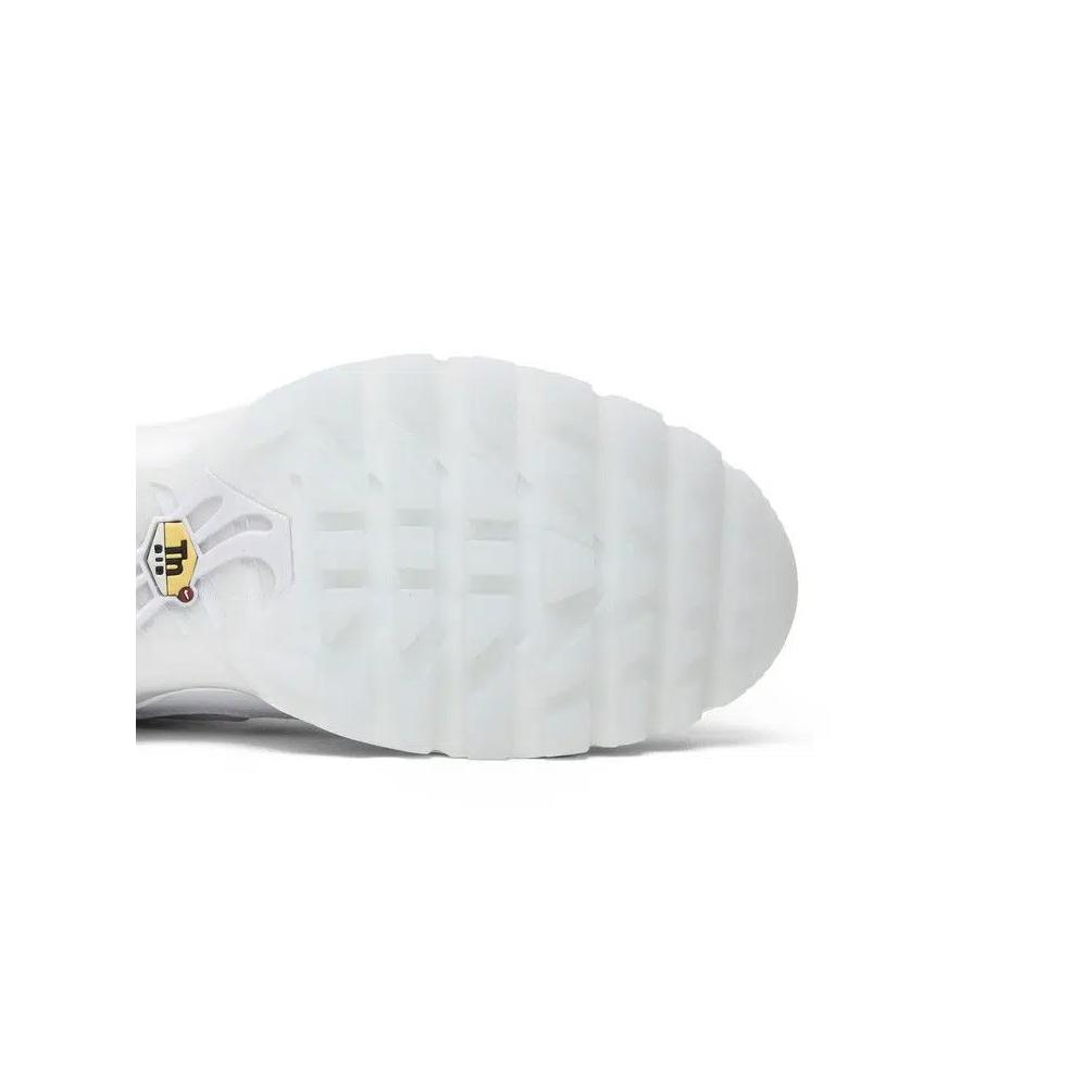 Кроссовки Nike Air Max Plus 'International Flag' 5
