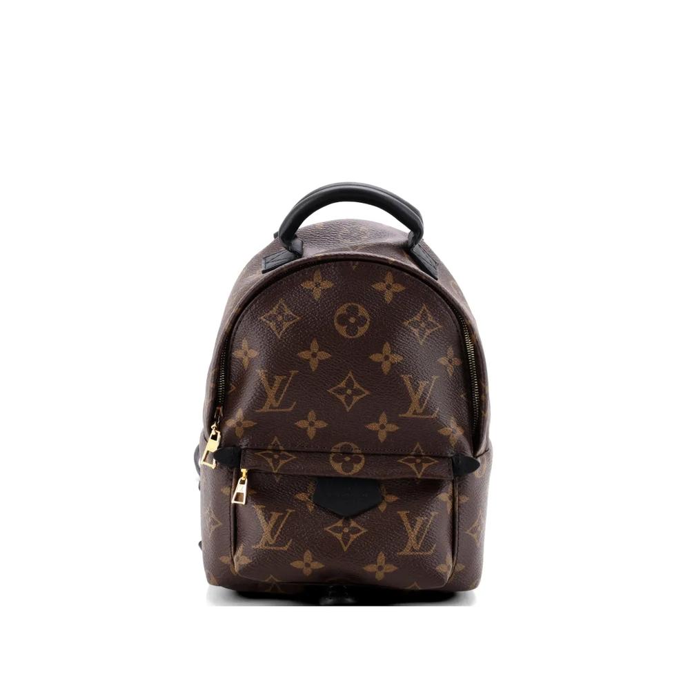 Мини-рюкзак Palm Springs Monogram Canvas 1