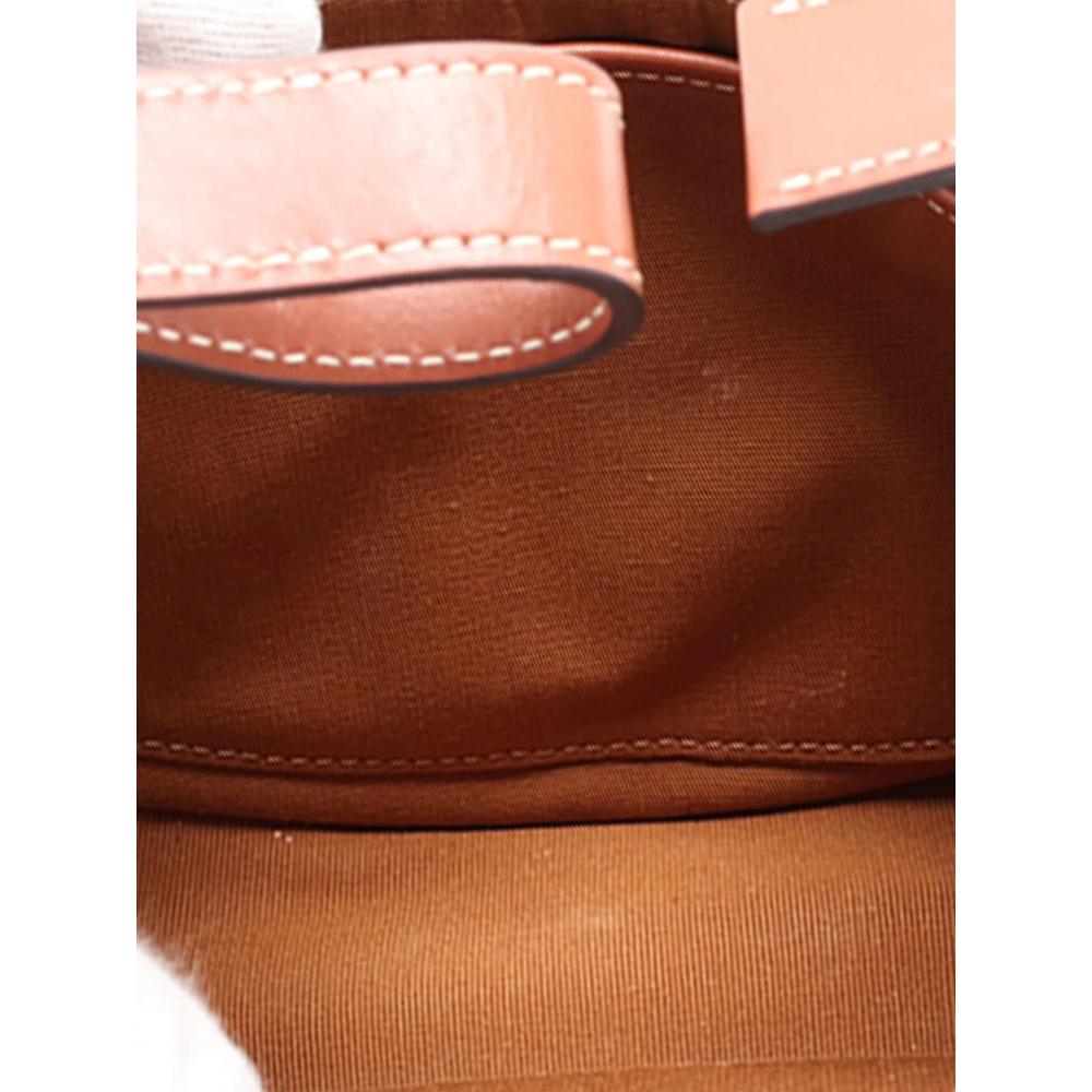2015-2026 Triomphe Coated Canvas Ava shoulder bag 4