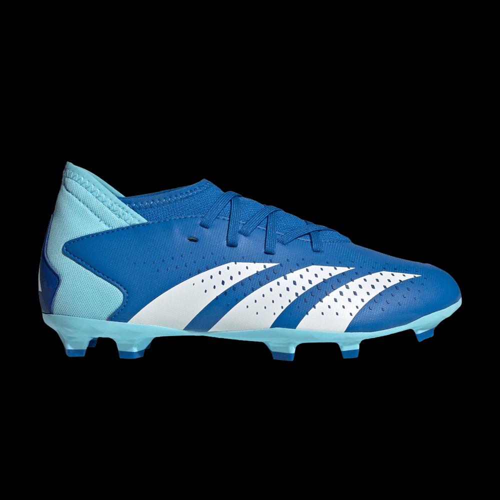 Бутсы Adidas Predator Accuracy.3 FG J 'Marinerush Pack' 1