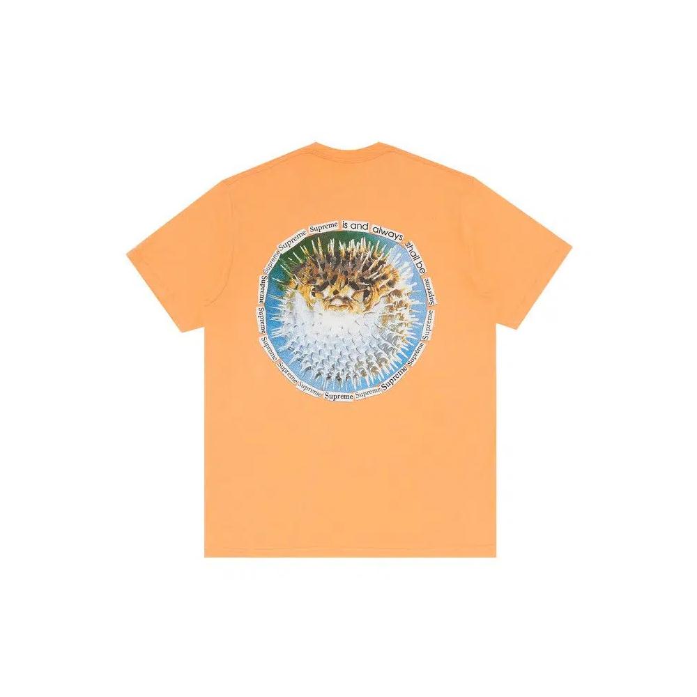 Футболки Supreme Blowfish Tee 'Dusty Light Royal' 2