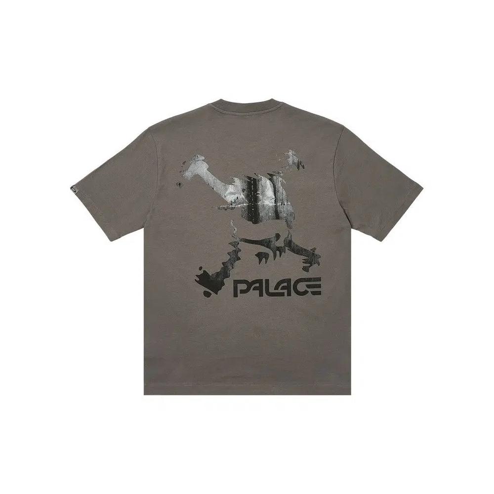 Футболки Palace x Oakley T-Shirt 'Grey' 2