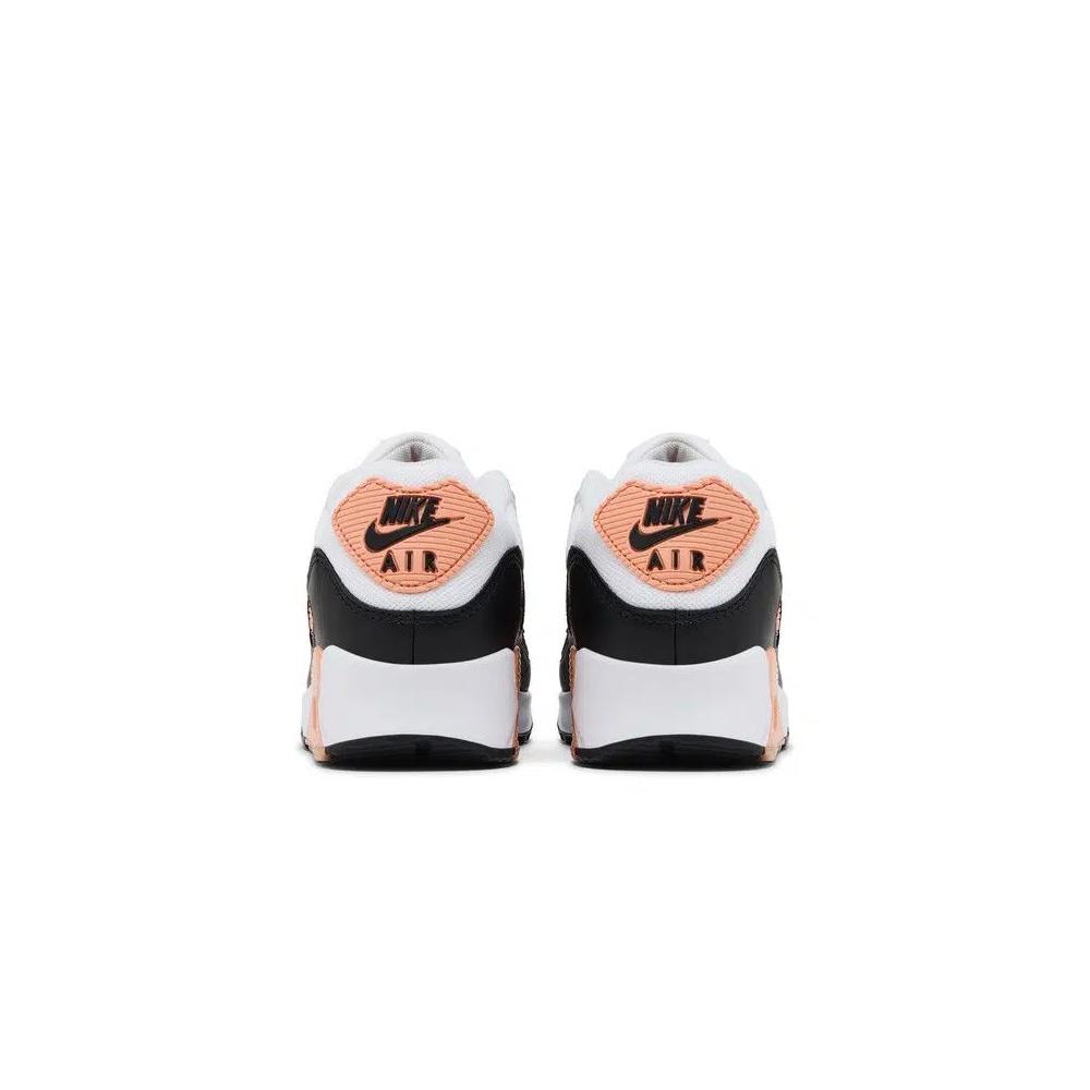 Кроссовки Nike Wmns Air Max 90 «Apricot Agate» 6