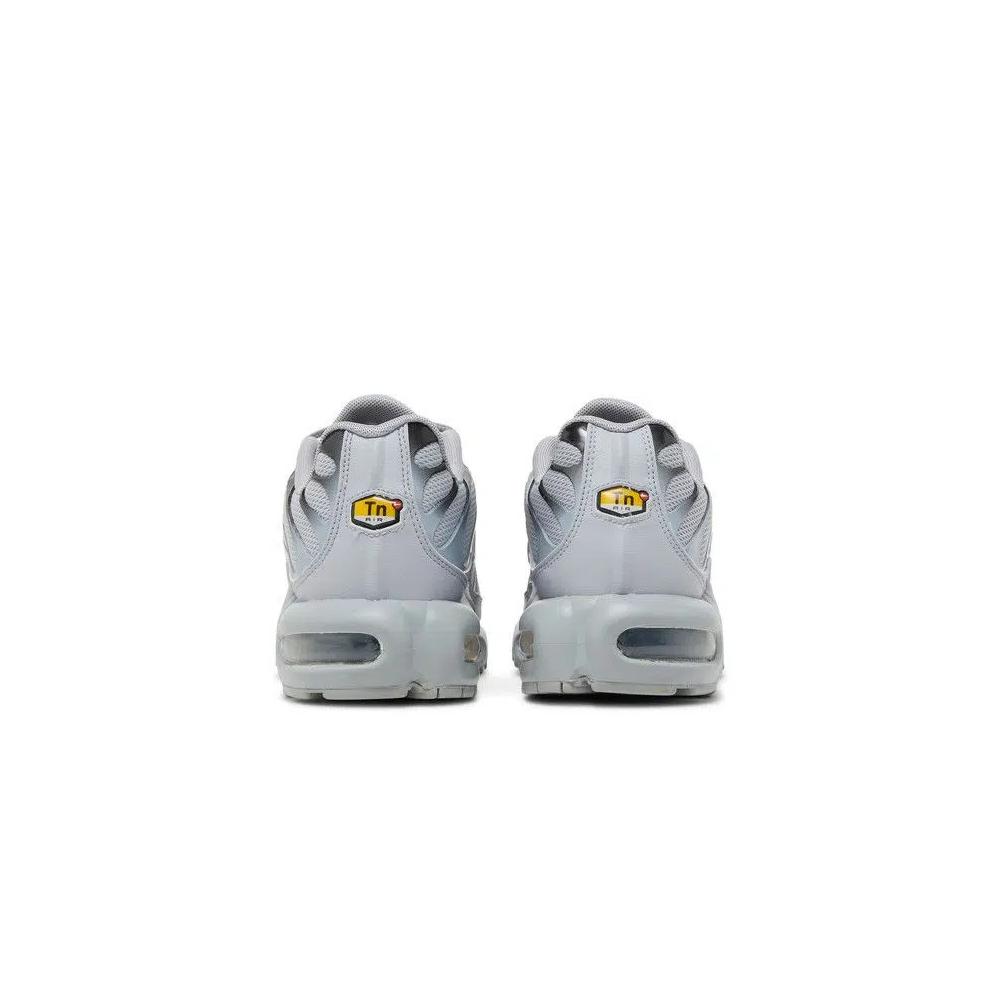 Кроссовки Nike Air Max Plus TN 'Wolf Grey' 6