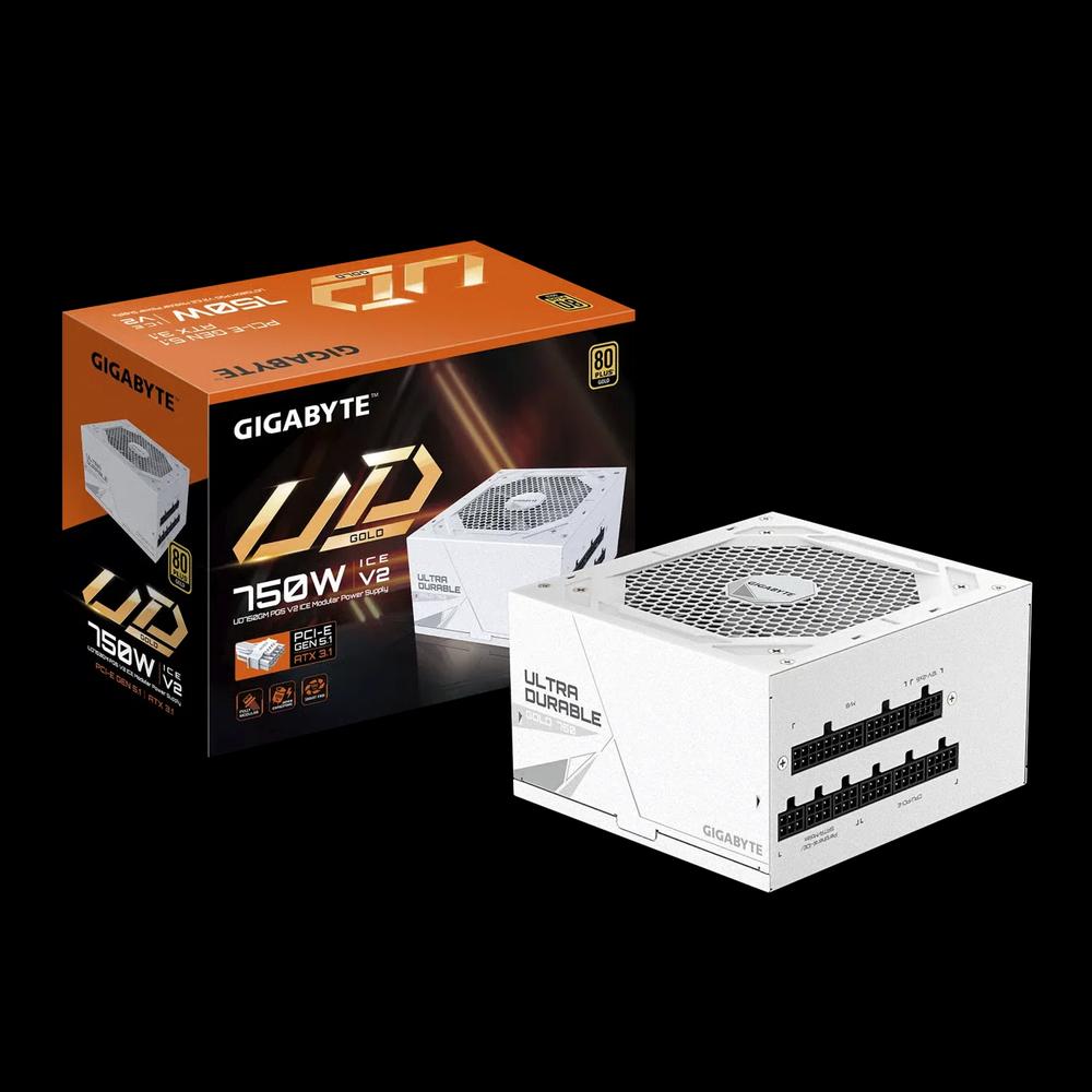 GIGABYTE UD750GM PG5 V2 ICE 750W 80Plus Gold сертифицирован, полностью модульный блок питания - белый 5